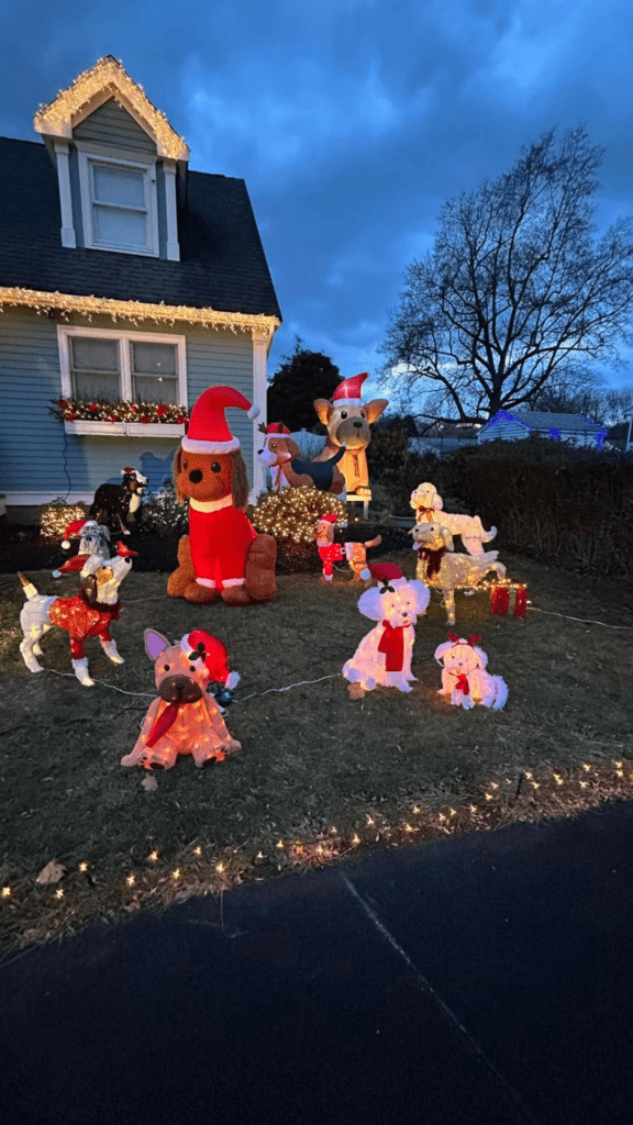 Danvers, MA is location of the house with Christmas Dog theme. It's also home to a beautiful family of rescue beagles.